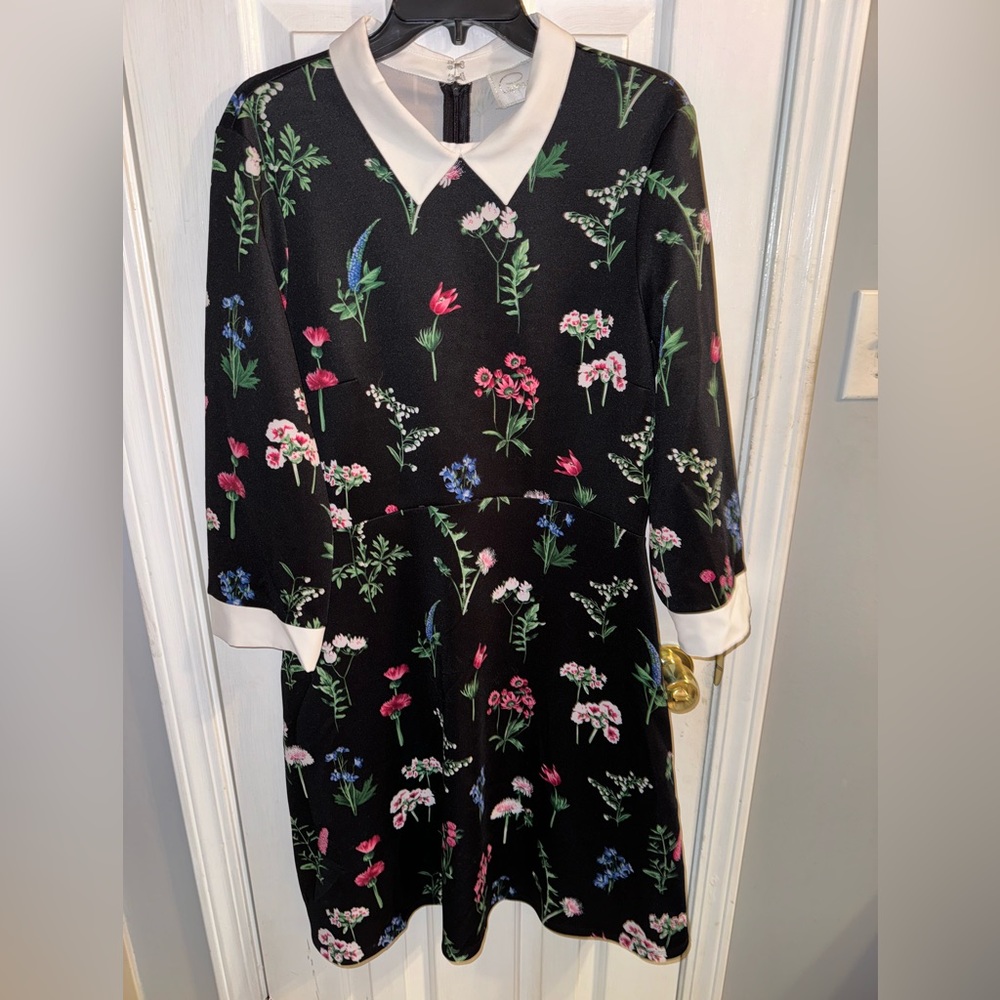 Cappagallo Multi color Floral Dress with white Collar